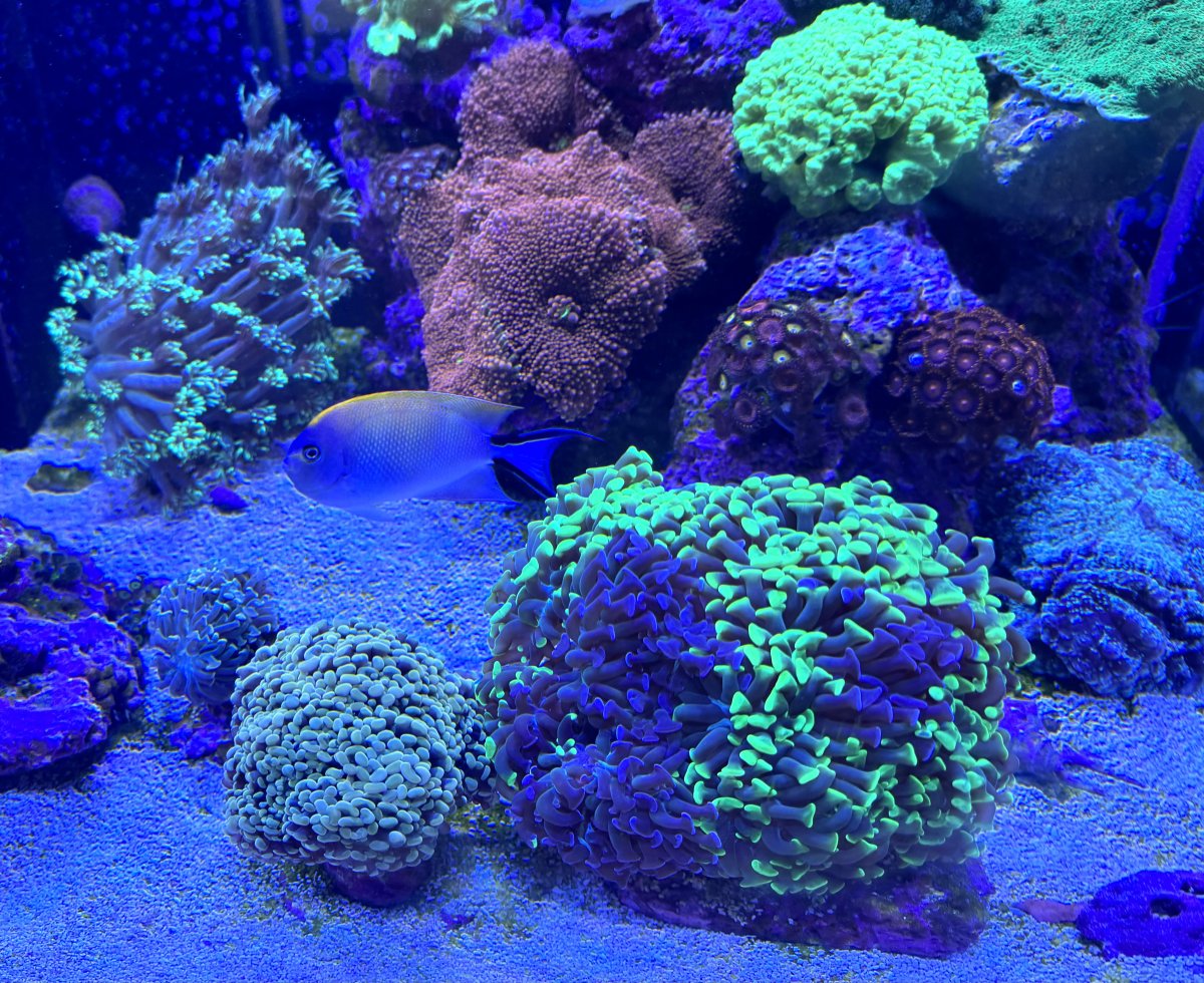 IMG_4834.jpeg