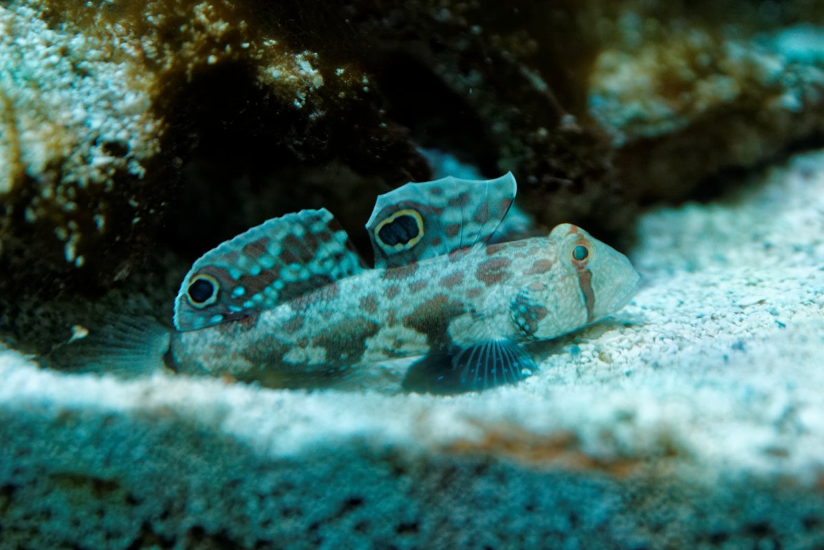 IMG_4835_DxO.jpg