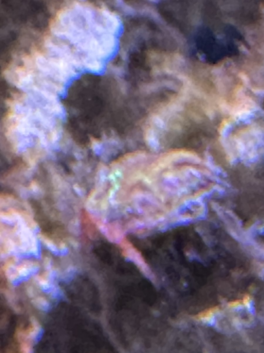 IMG_4839.jpeg
