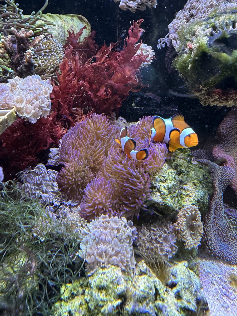 IMG_4861.jpeg