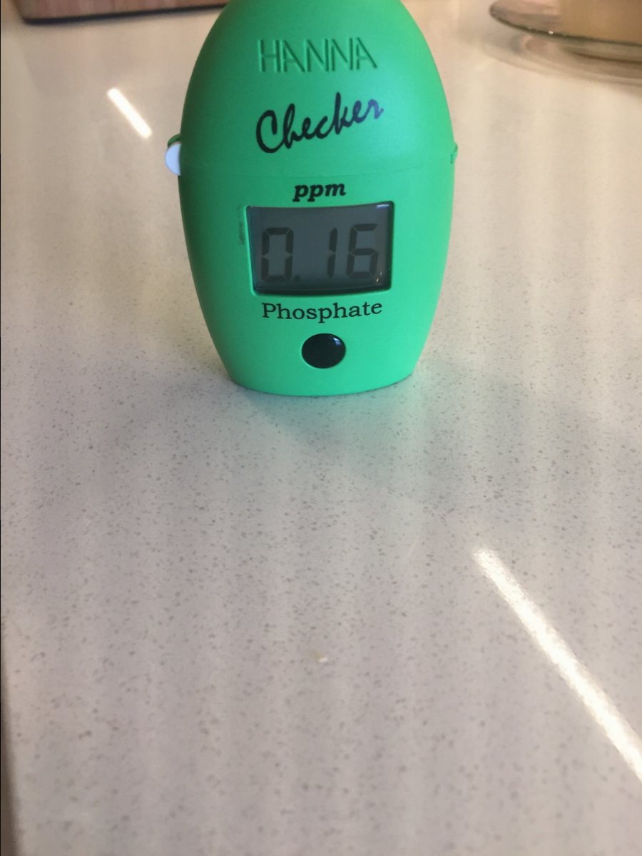 IMG_4864.JPG