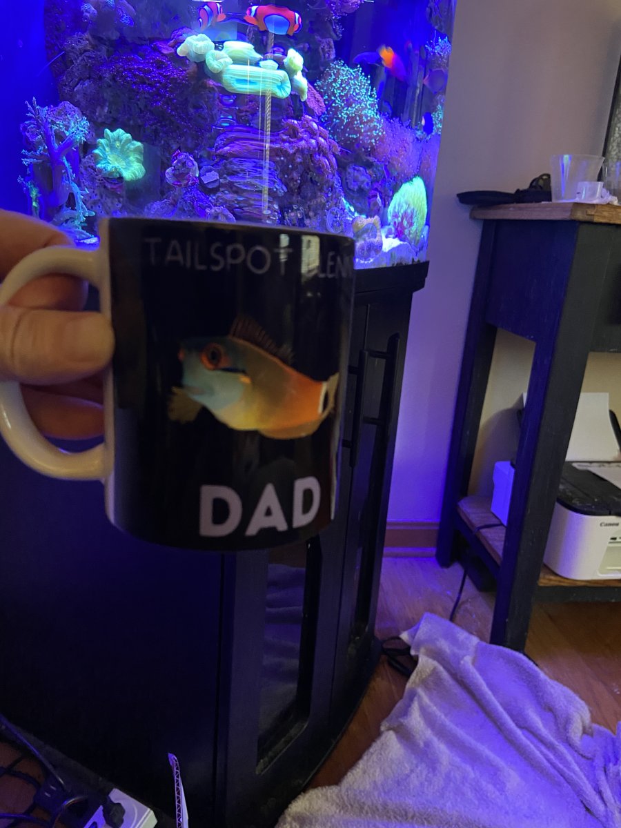 IMG_4865.jpeg