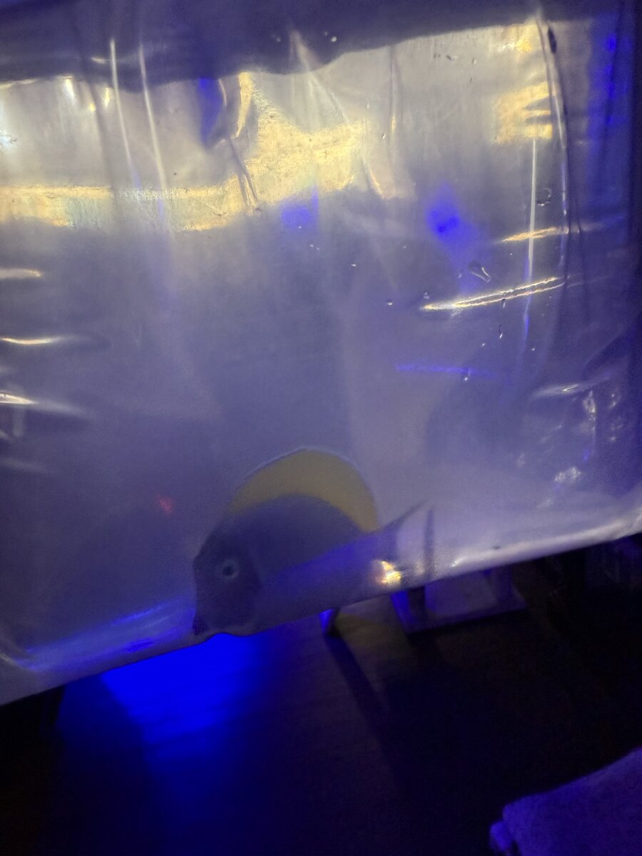 IMG_4884.jpeg