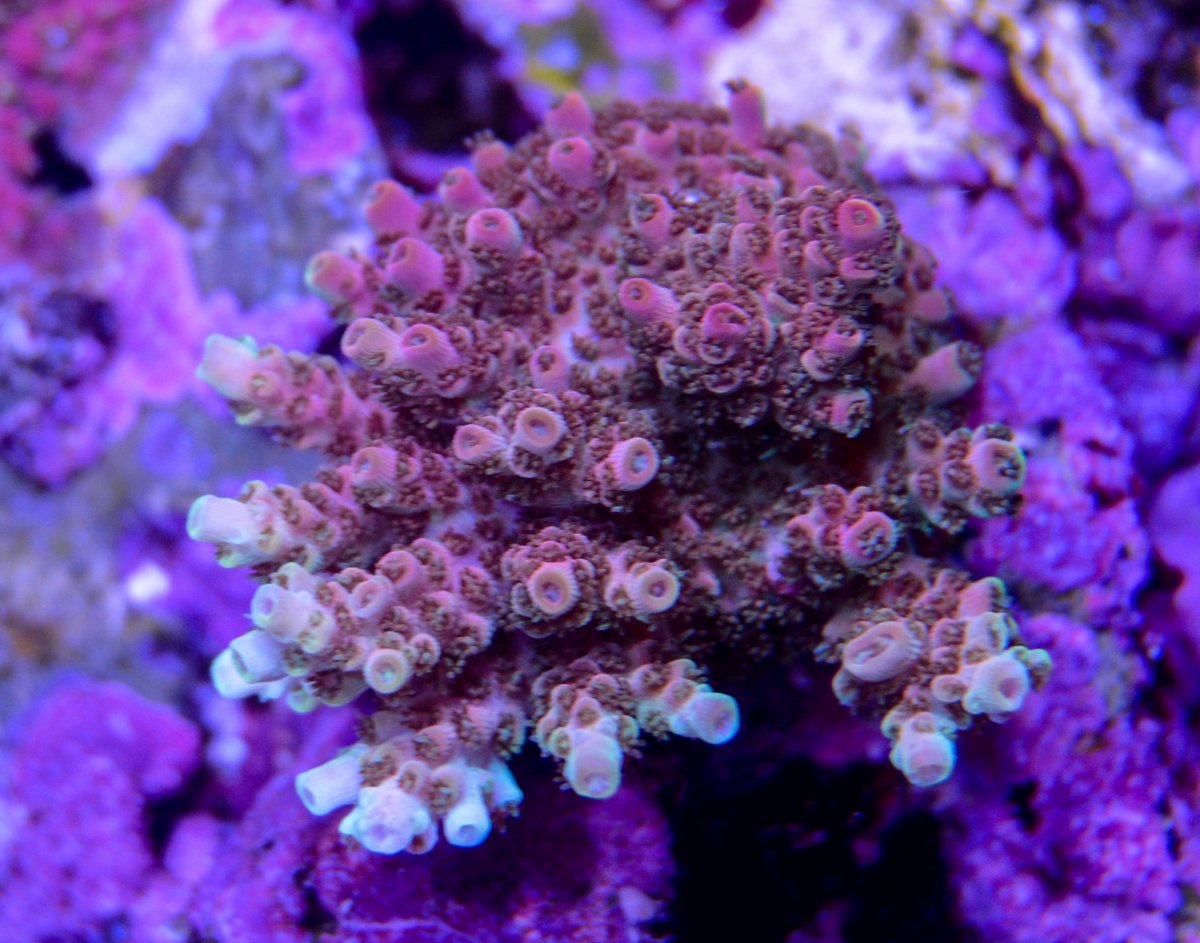 IMG_4885.JPG