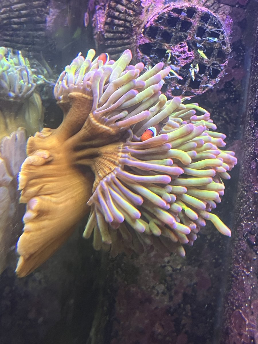 IMG_4889.jpeg
