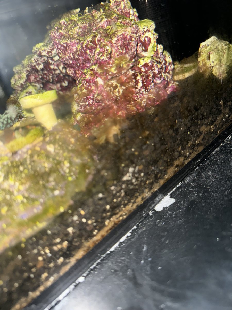 Gallery image with a fresh perspective