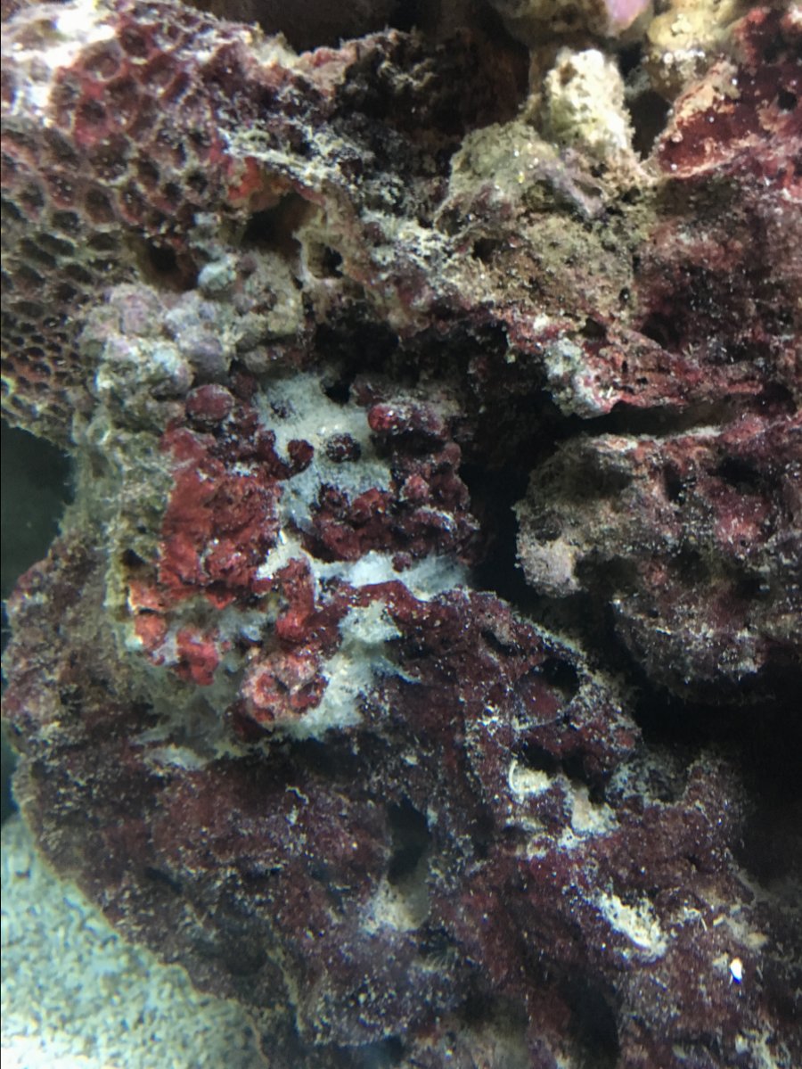 IMG_4914.JPG
