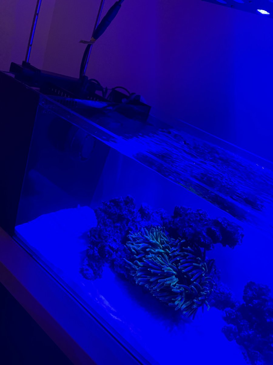 IMG_4919.jpeg