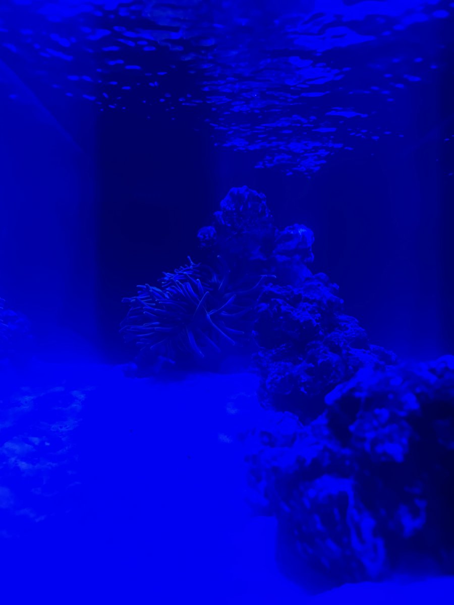 IMG_4922.jpeg