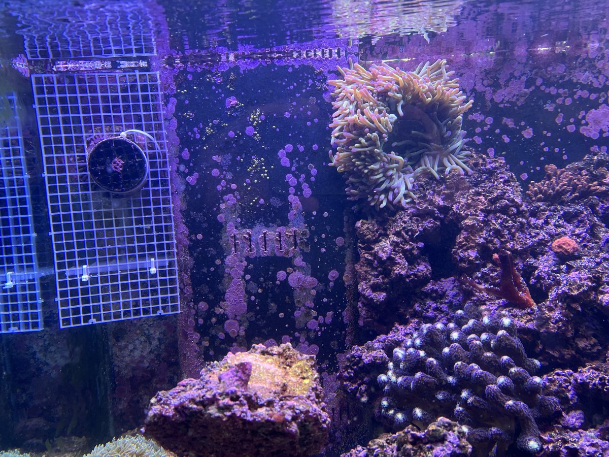 IMG_4926.jpeg