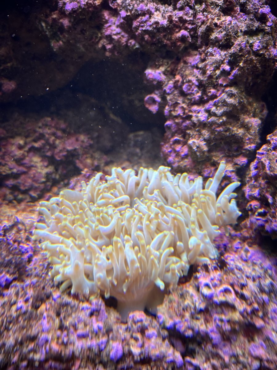 IMG_4959.jpeg