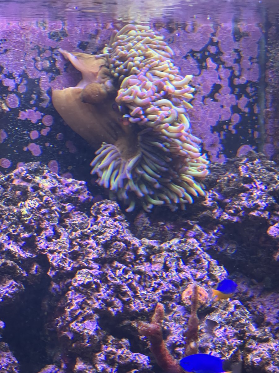 IMG_4976.jpeg