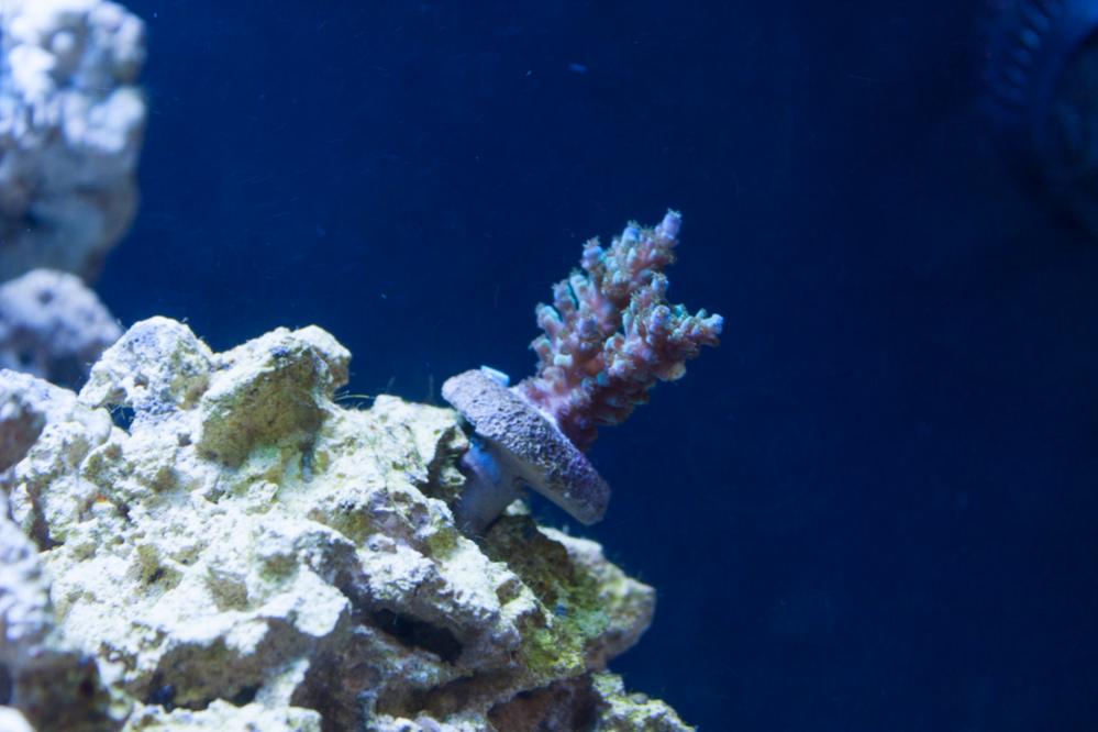 IMG_4990.jpg