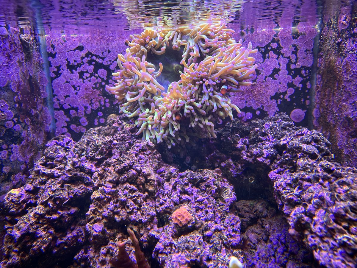 IMG_4995.jpeg