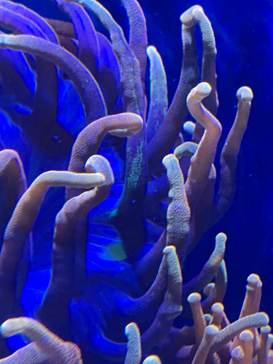 IMG_5003.jpeg