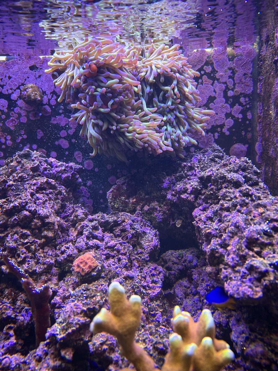 IMG_5003.jpeg