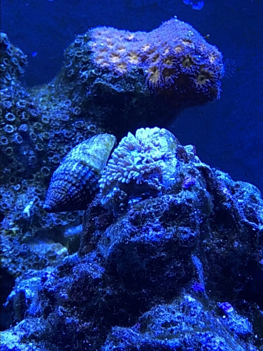 IMG_5003.jpg