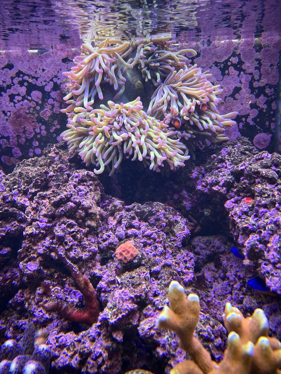 IMG_5004.jpeg