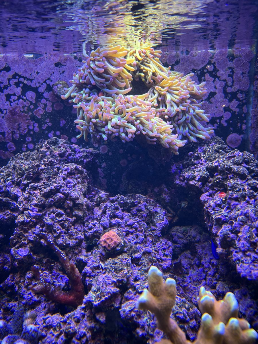 IMG_5005.jpeg