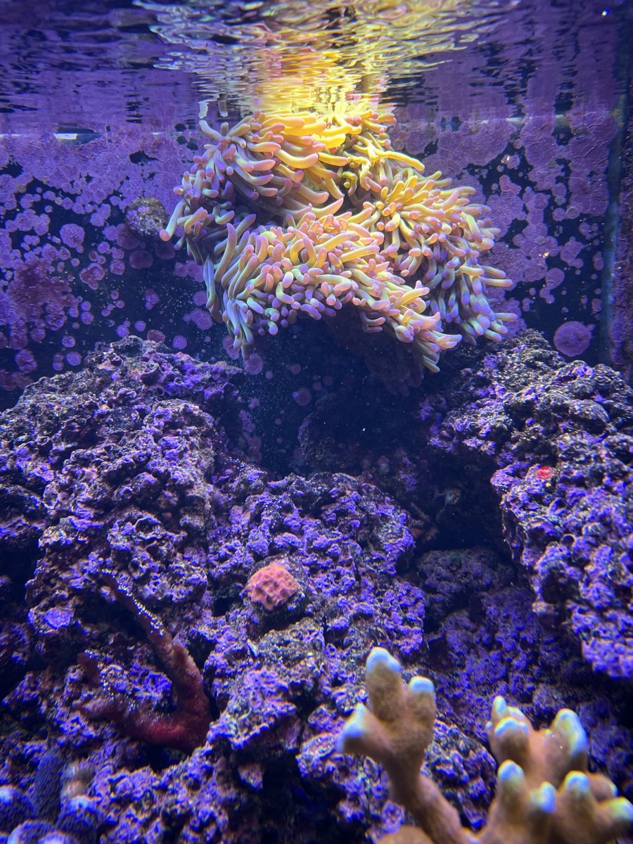 IMG_5006.jpeg