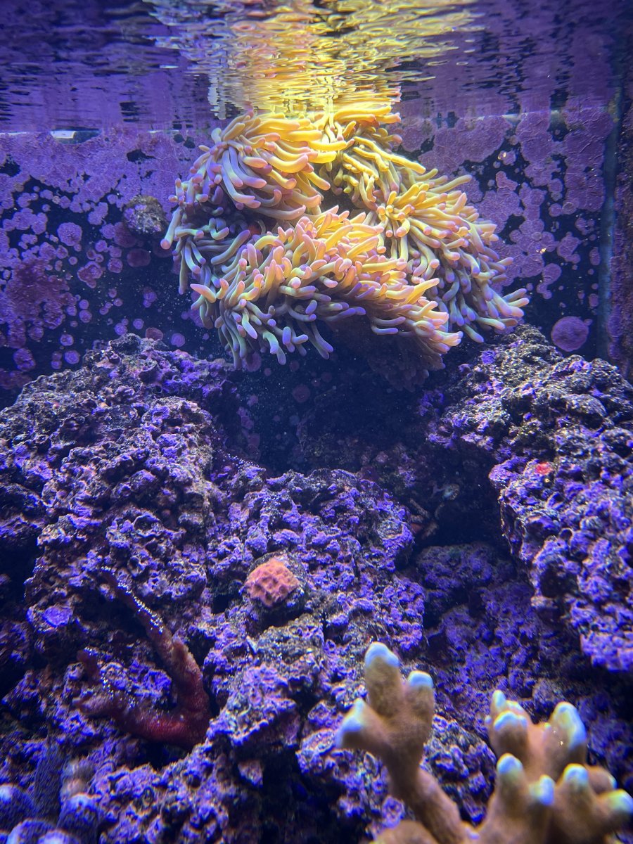 IMG_5007.jpeg
