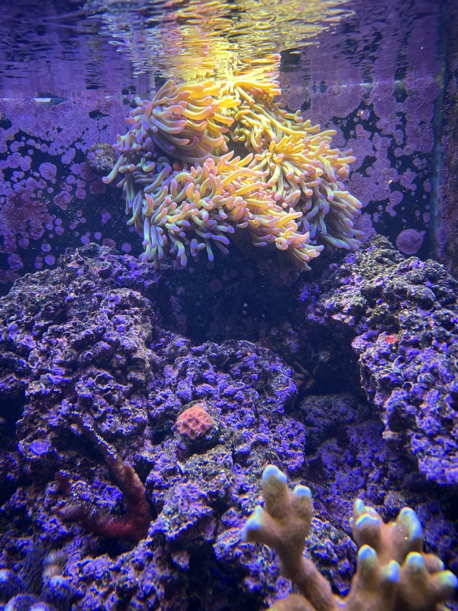 IMG_5008.jpeg