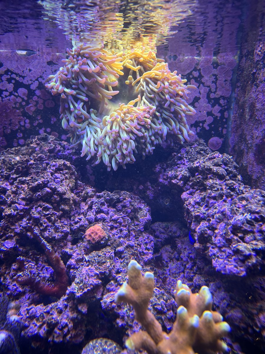 IMG_5011.jpeg