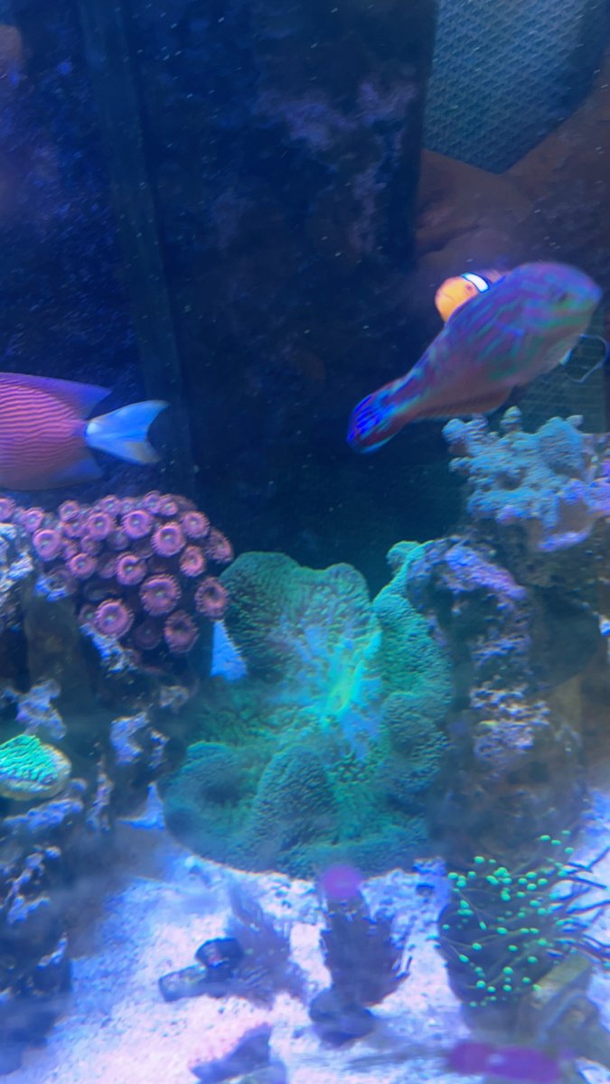 IMG_5031.jpeg