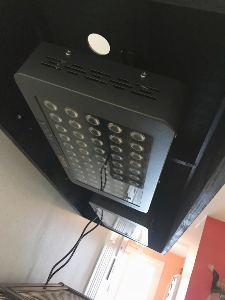 IMG_5045.jpeg