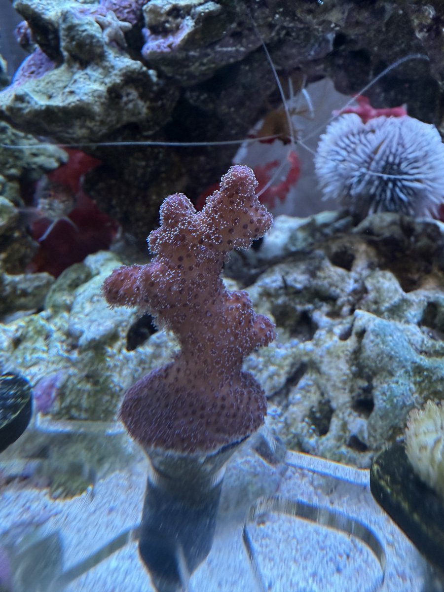 IMG_5052.jpeg
