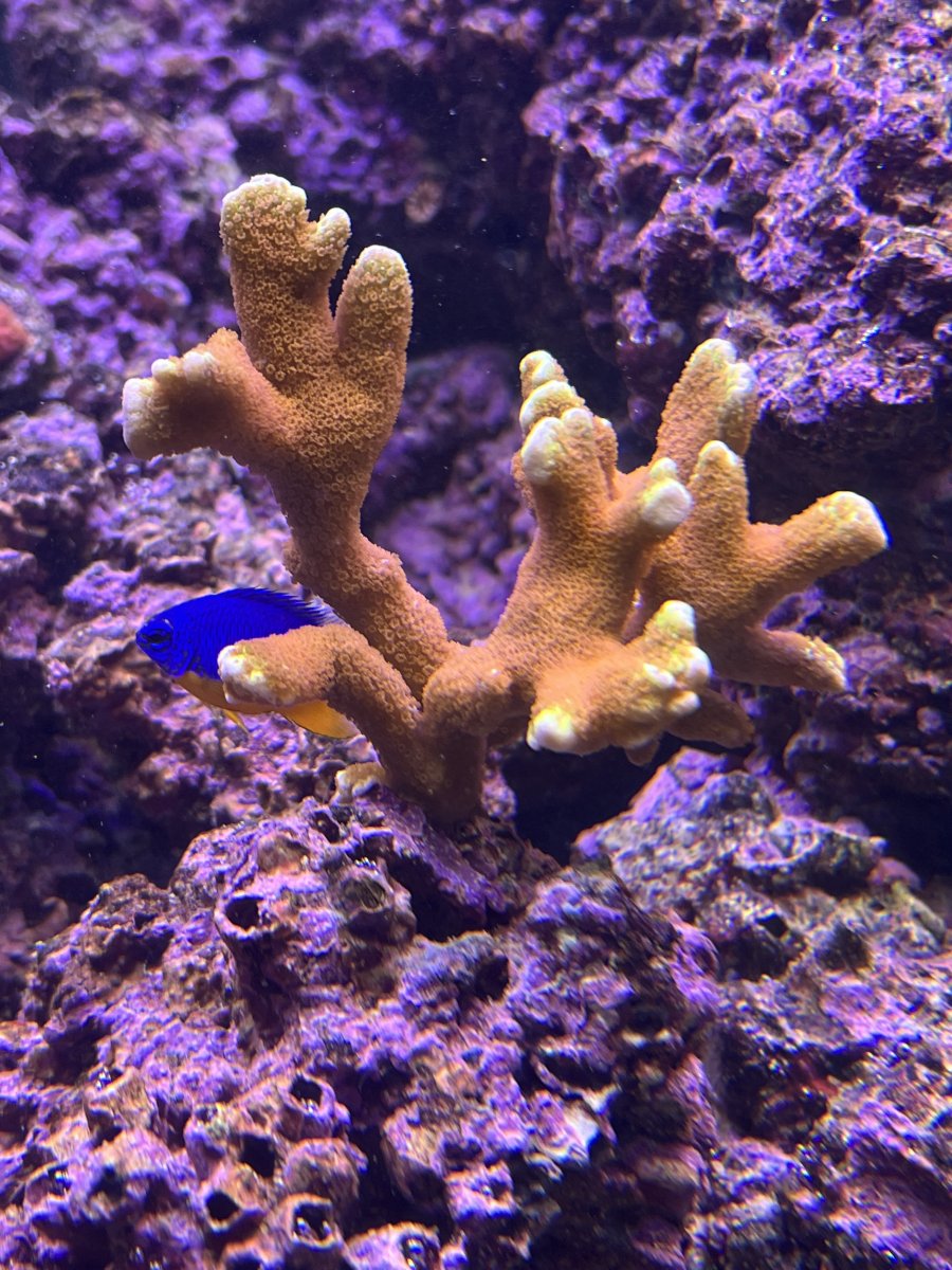 IMG_5057.jpeg