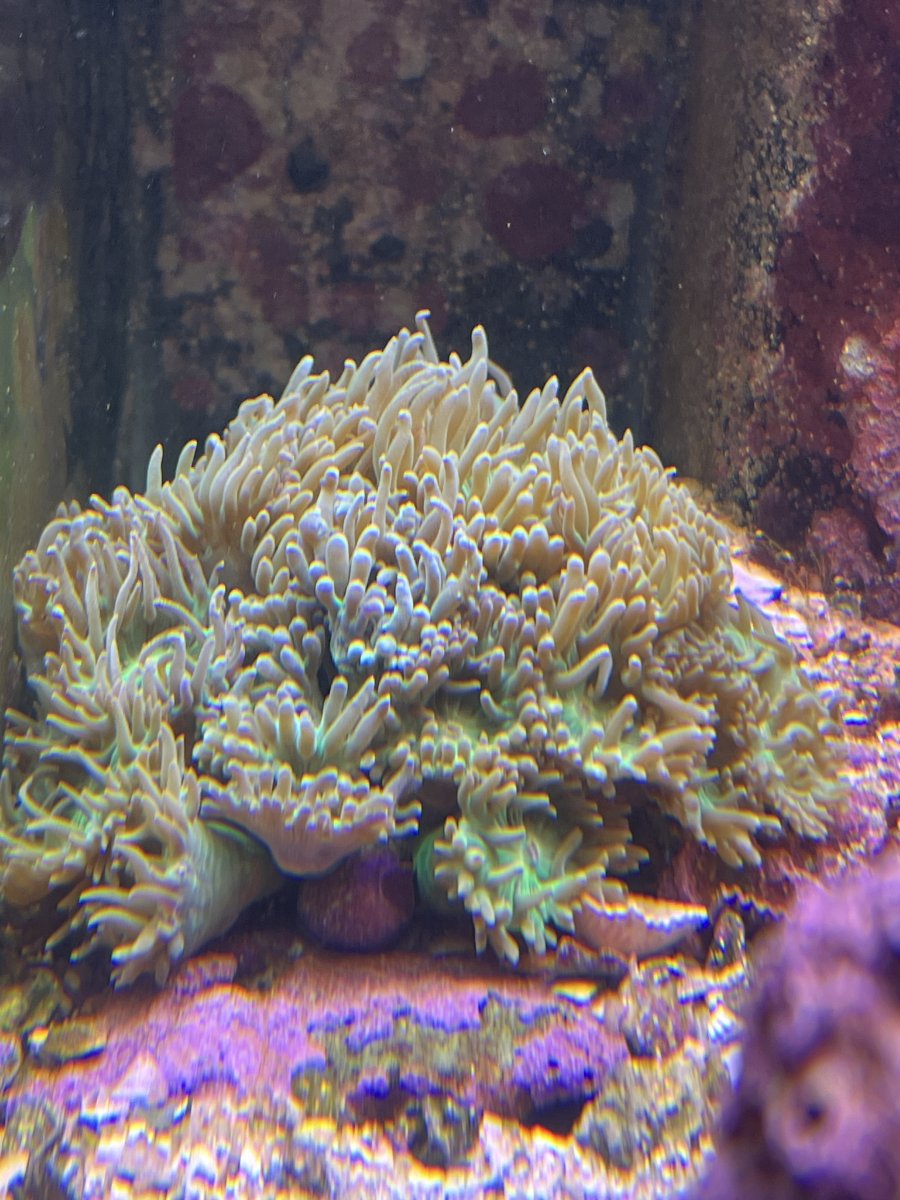 IMG_5058.jpeg
