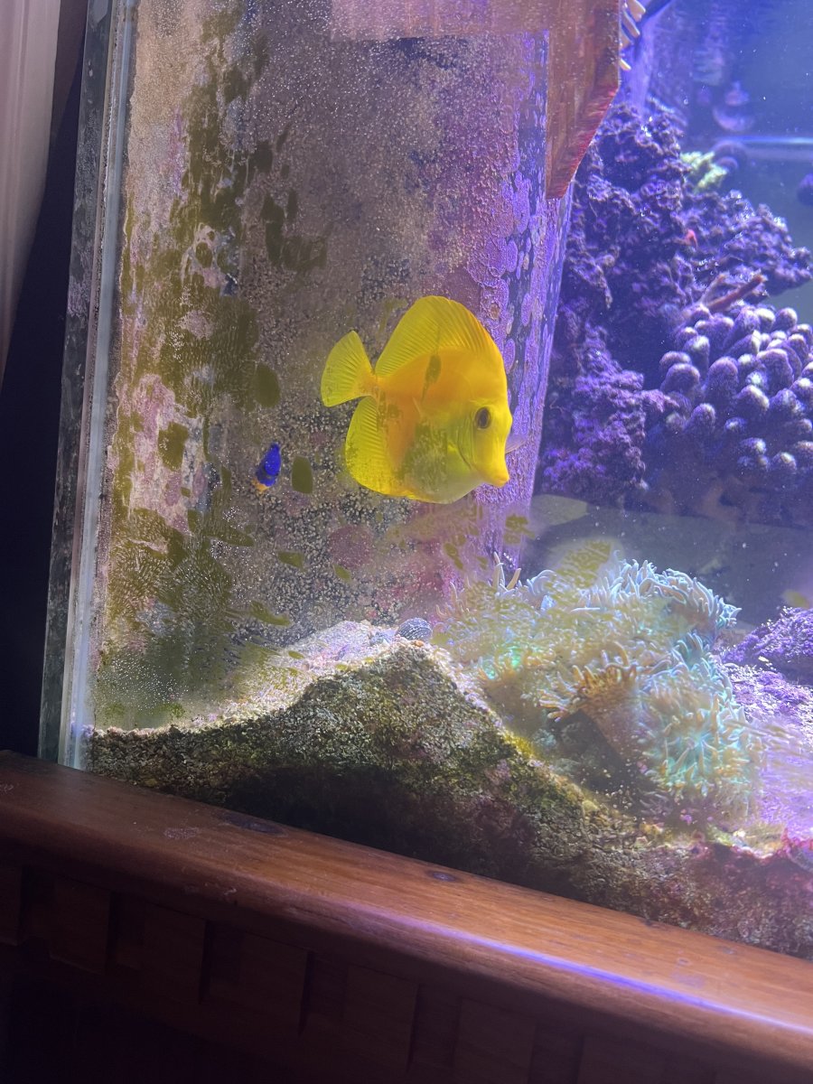 IMG_5061.jpeg