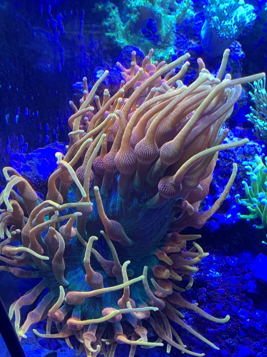 IMG_5062.jpeg