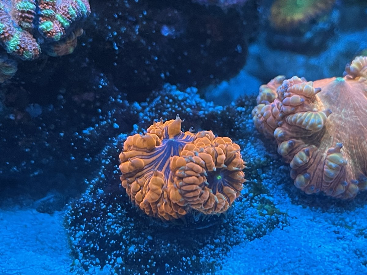 IMG_5065.jpeg