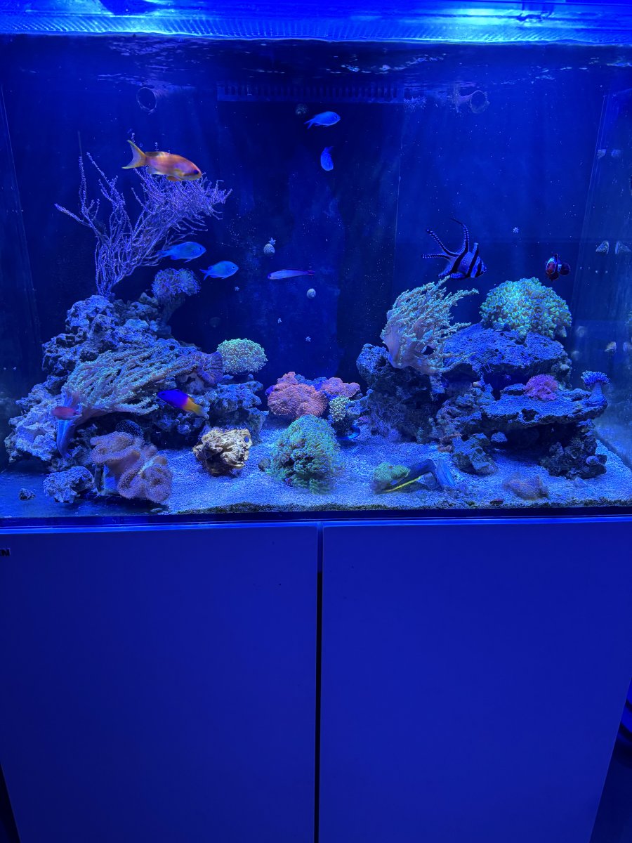 IMG_5067.jpeg