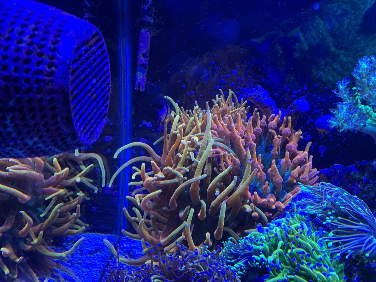 IMG_5091.jpeg