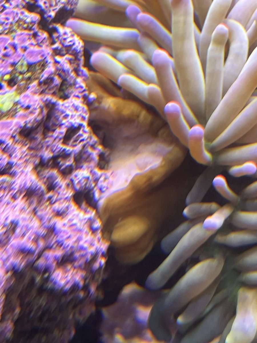 IMG_5102.jpeg