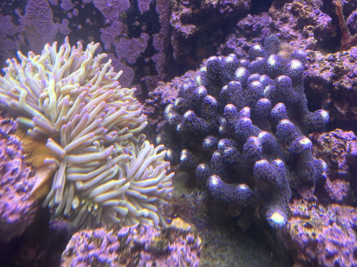 IMG_5106.jpeg