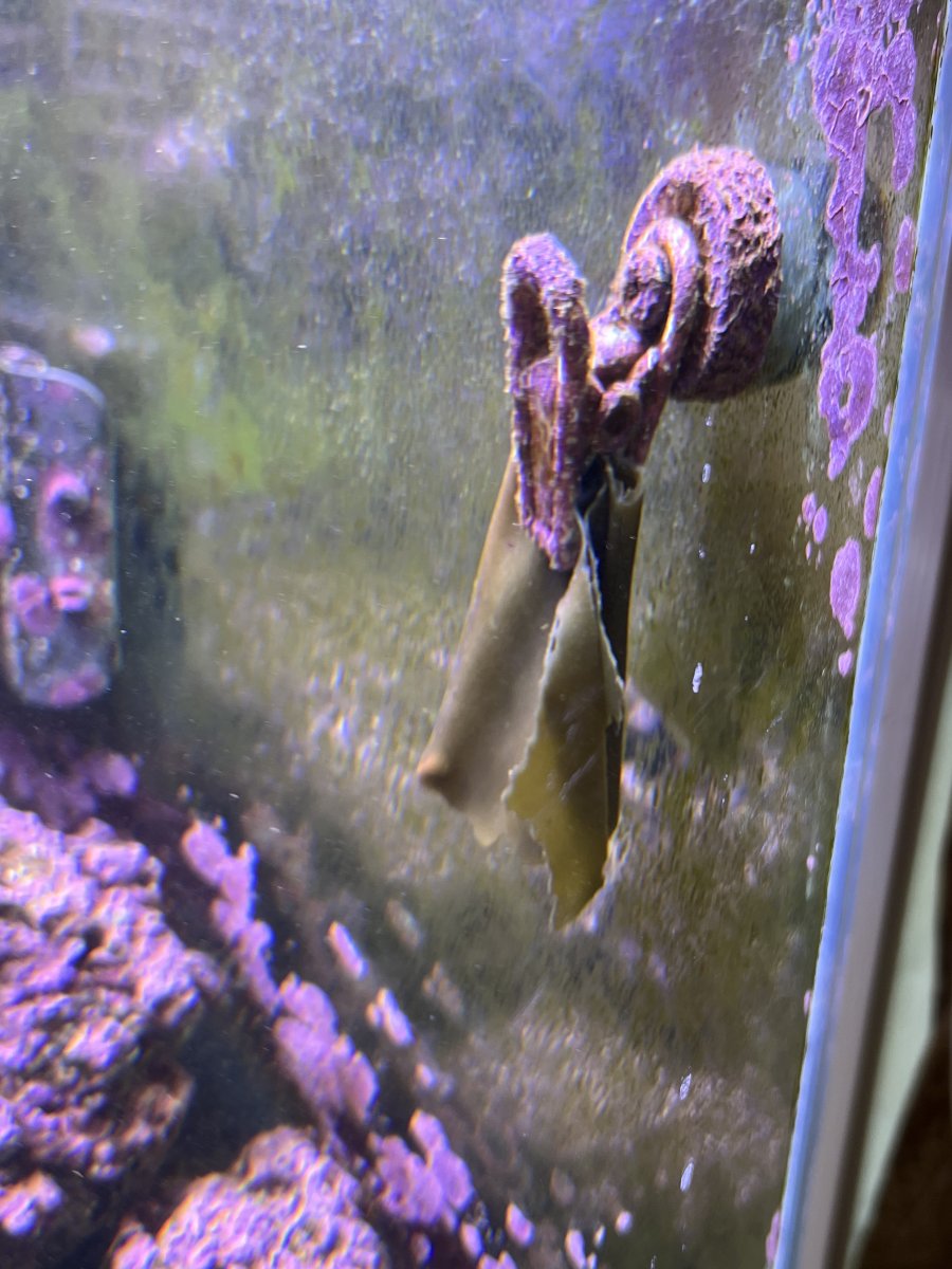 IMG_5113.jpeg