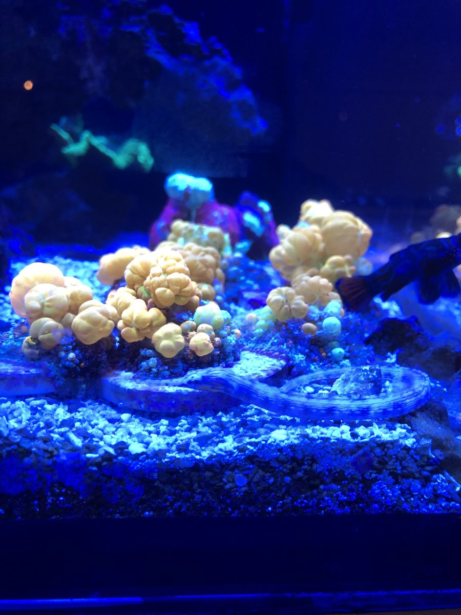 IMG_5119.jpeg
