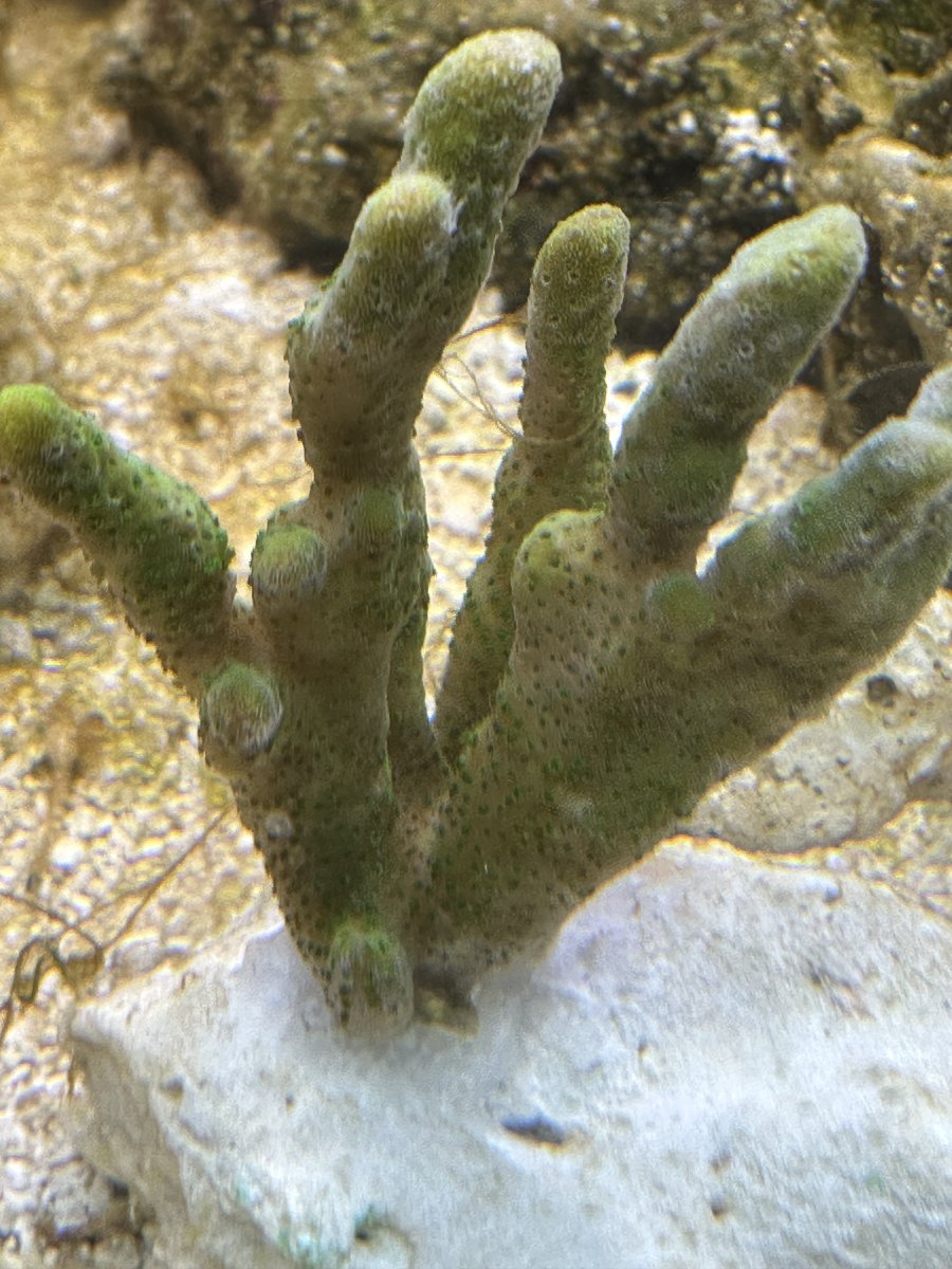 IMG_5126.jpeg