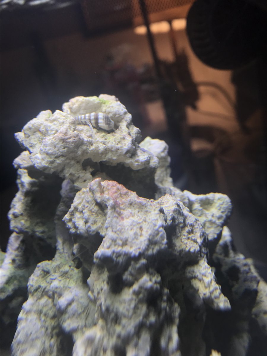 IMG_5131.jpeg