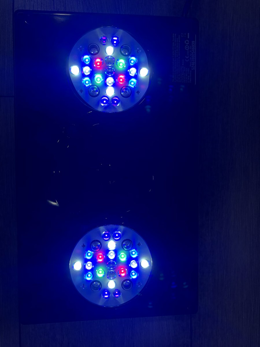 IMG_5146.jpeg