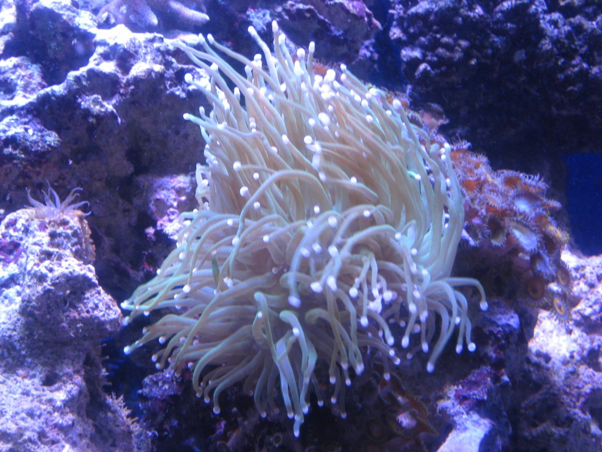 IMG_5146.JPG