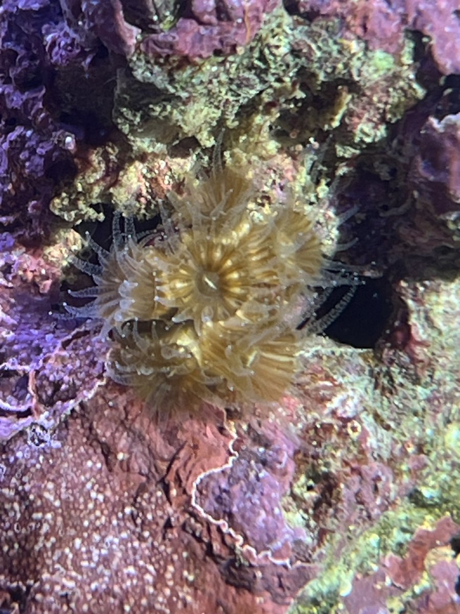 IMG_5147.jpeg