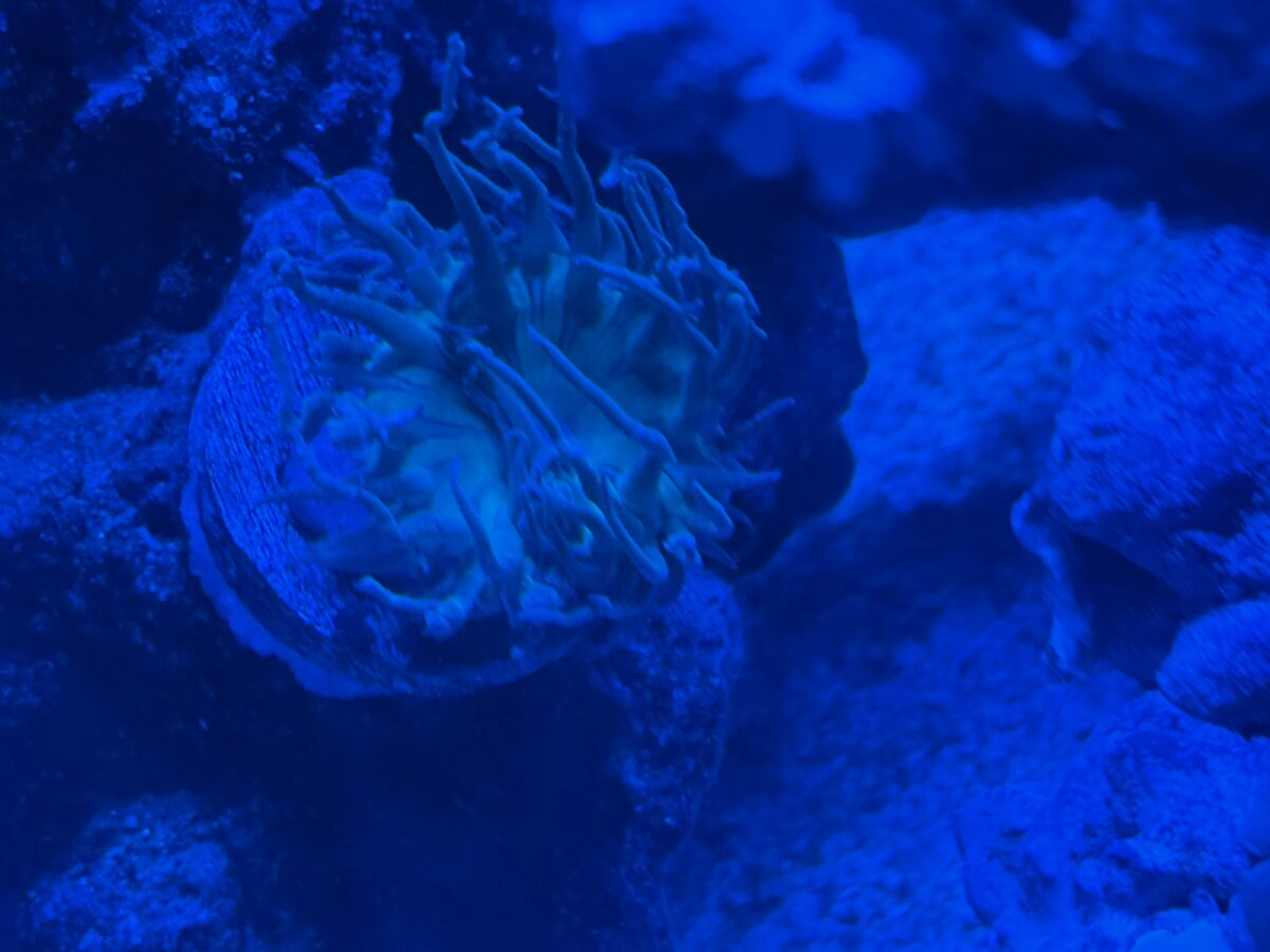 IMG_5151.jpeg