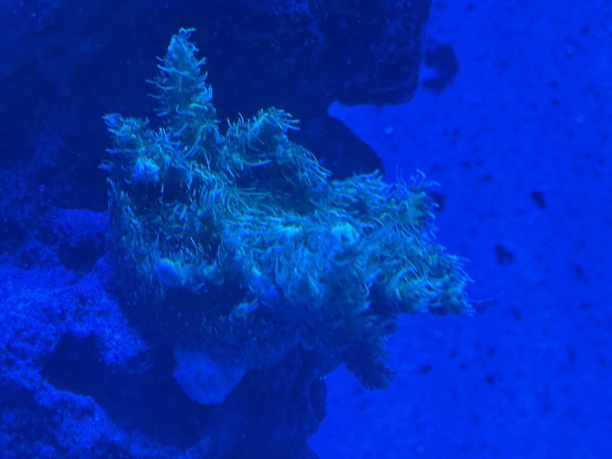 IMG_5152.jpeg