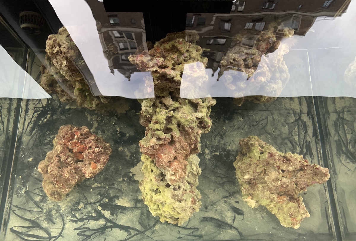 IMG_5153.jpg