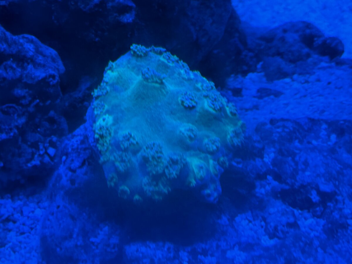 IMG_5154.jpeg